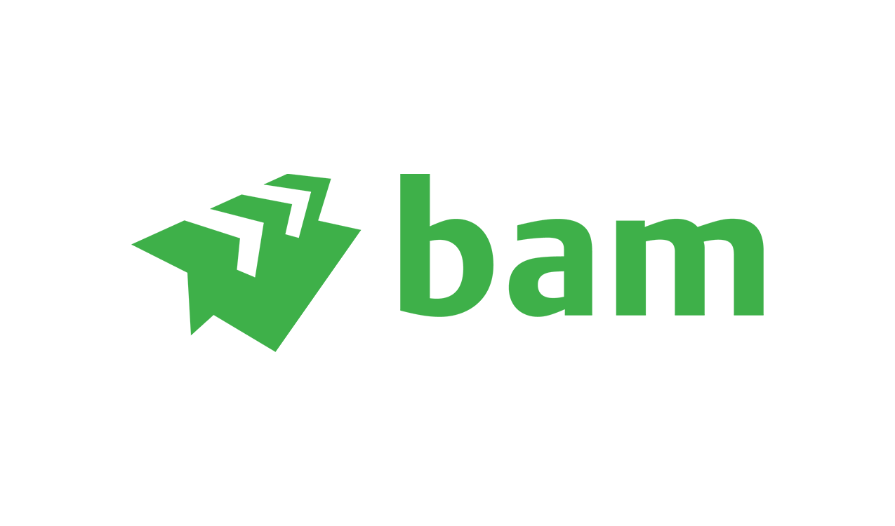 Logo bam